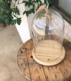 Medium Glass Kloche with Wood Base and Rope Handle 26cm x 35cm