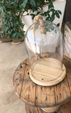 Large Glass Kloche with Wood Base and Rope Handle 28cm x 42cm