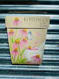 Sow N Sow Gifts of Seeds Echinacea